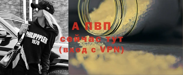 тгк Новозыбков